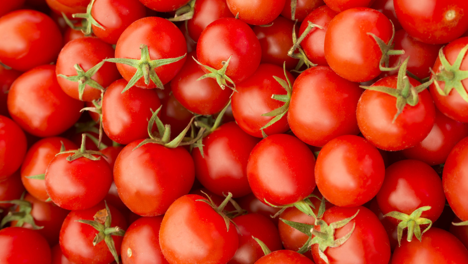 Fresh Tomatoes Box