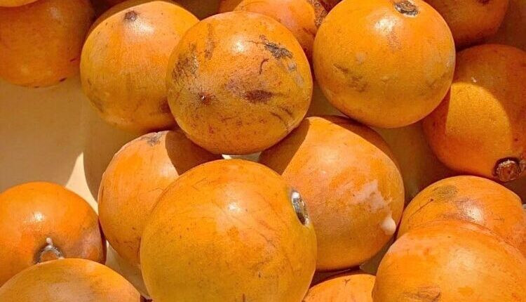 Agbalumo/Udara (African Star Apple)