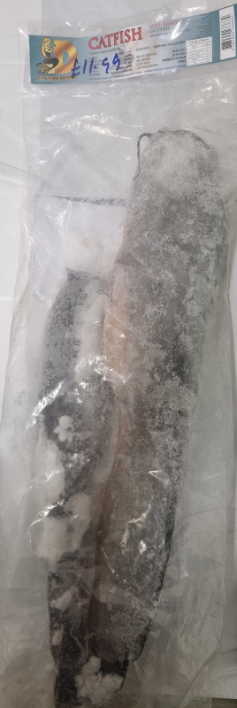 Frozen Catfish