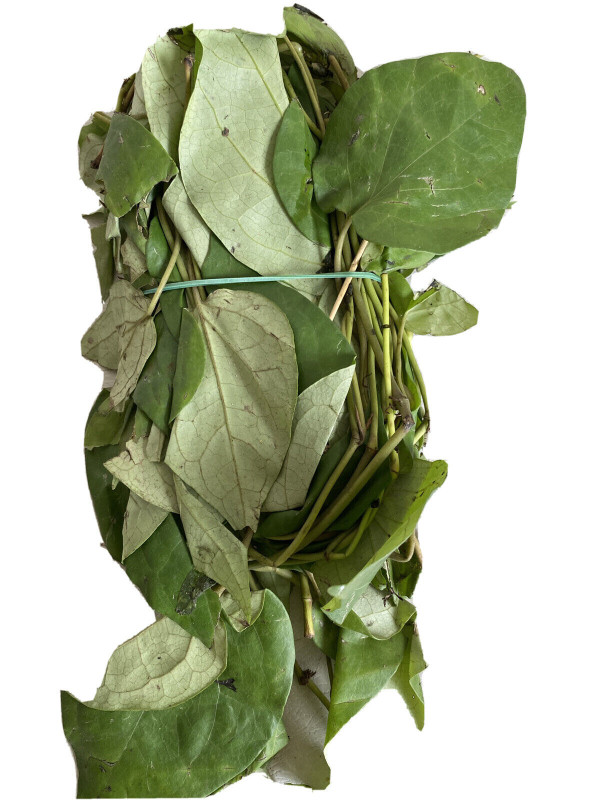 Fresh Uziza Leaves